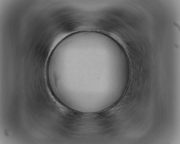 X0000090981440200708241353