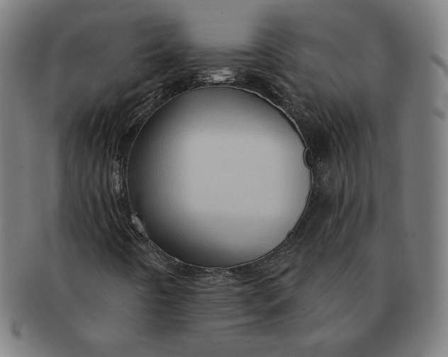 X0000090981442200708241352
