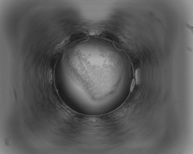 X0000090981443200708241352