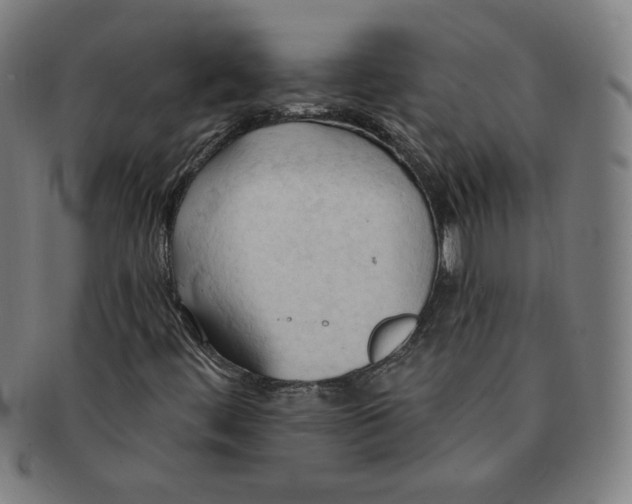 X0000090981444200708241352