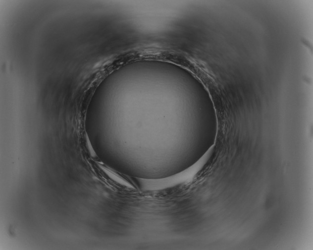 X0000090981445200708241352