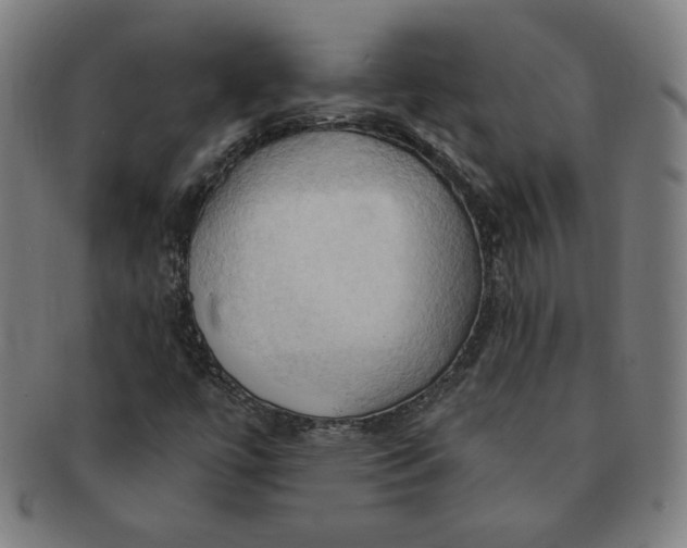 X0000090981447200708241352
