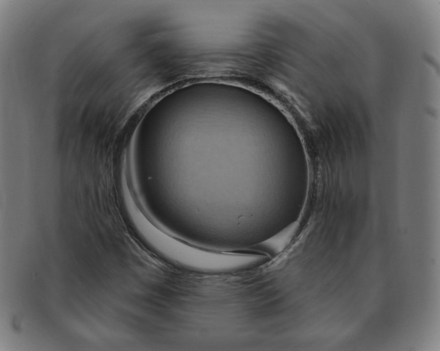 X0000090981449200708241352