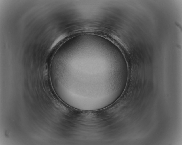 X0000090981450200708241352