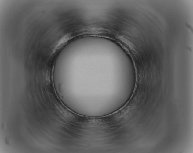 X0000090981451200708241352