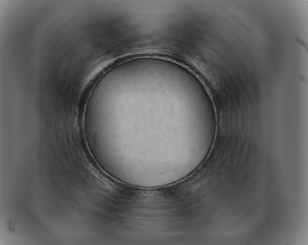 X0000090981452200708241352