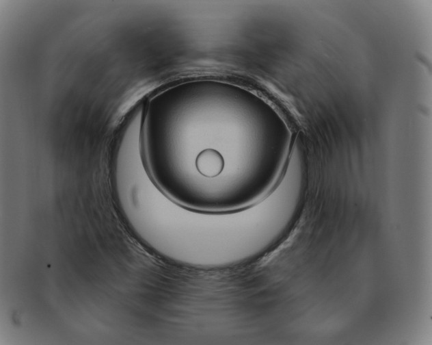 X0000090981453200708241352
