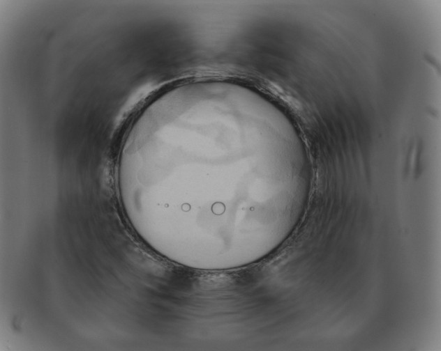 X0000090981454200708241352