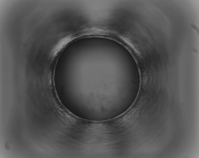 X0000090981455200708241352