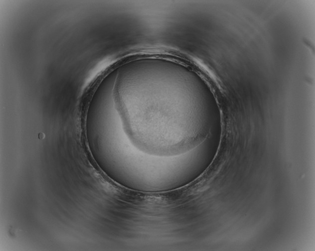 X0000090981456200708241352