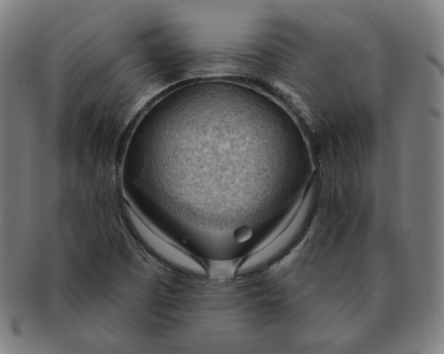 X0000090981457200708241352