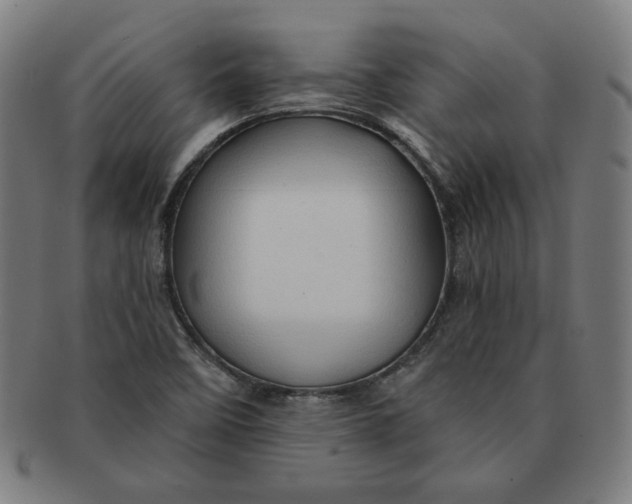 X0000090981458200708241352
