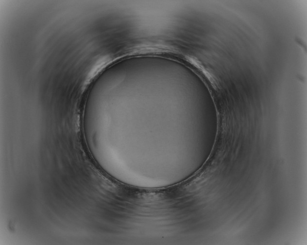 X0000090981459200708241352