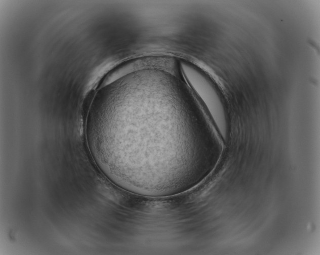 X0000090981461200708241352