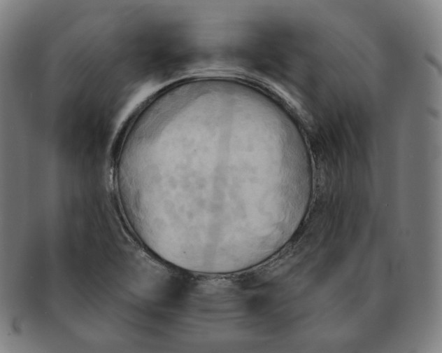 X0000090981462200708241352