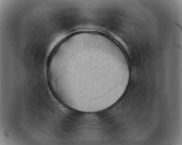 X0000090981464200708241352