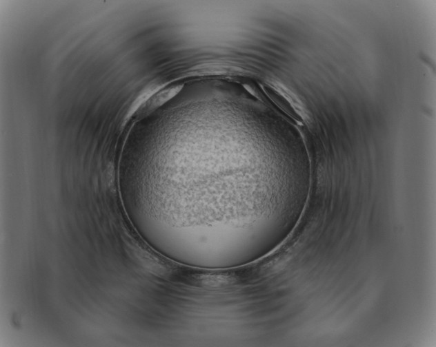 X0000090981465200708241352