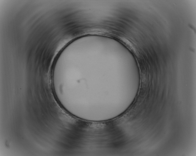 X0000090981466200708241352