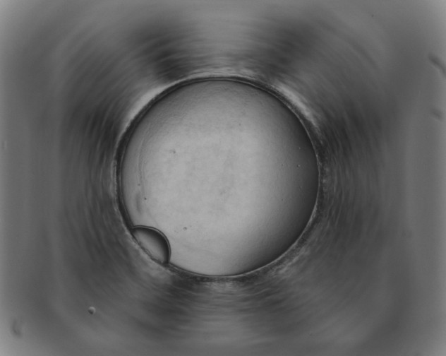 X0000090981468200708241352