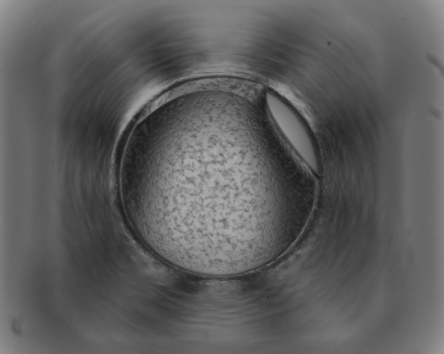 X0000090981469200708241352