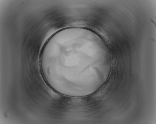 X0000090981470200708241352