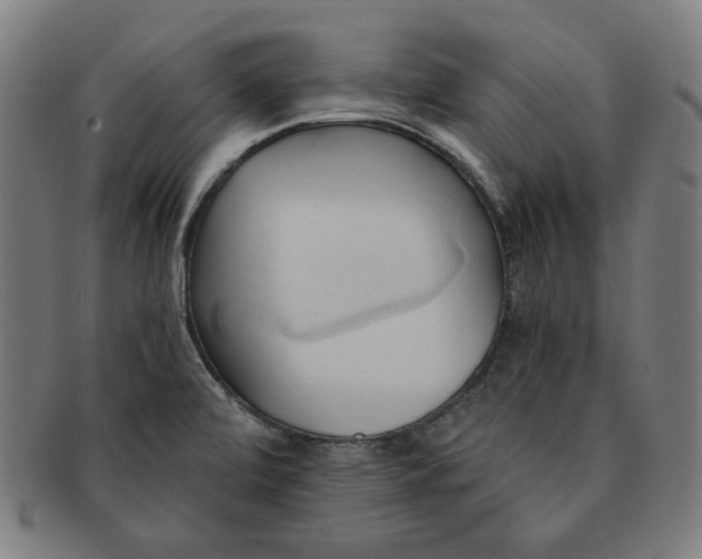 X0000090981472200708241352