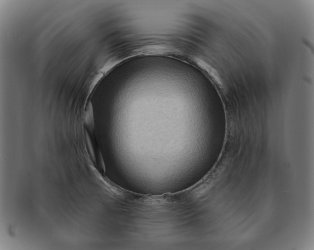 X0000090981473200708241352