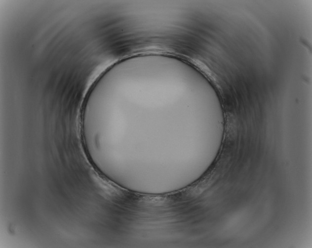 X0000090981474200708241352
