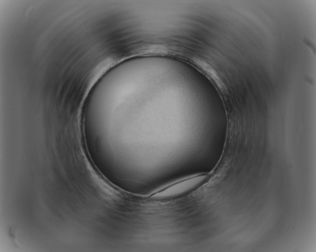 X0000090981475200708241352