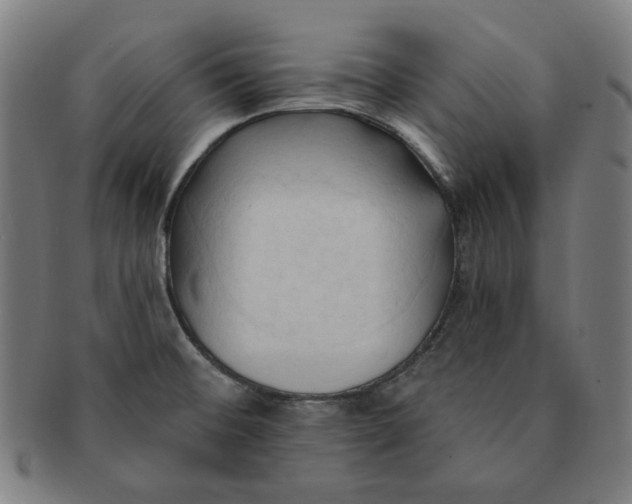 X0000090981476200708241352
