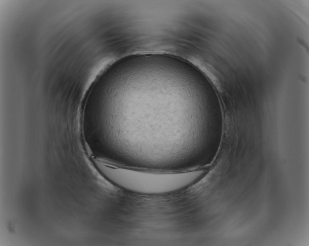 X0000090981477200708241352