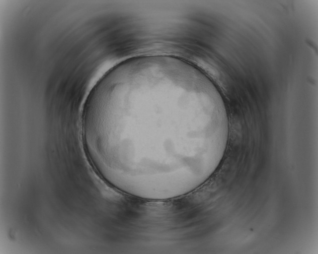 X0000090981478200708241352