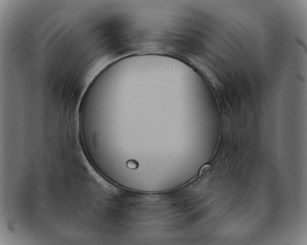 X0000090981479200708241352