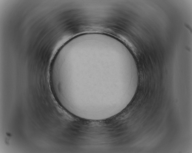 X0000090981480200708241352