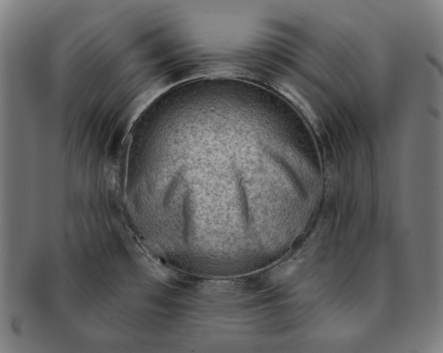 X0000090981481200708241352