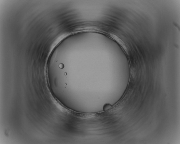 X0000090981482200708241352