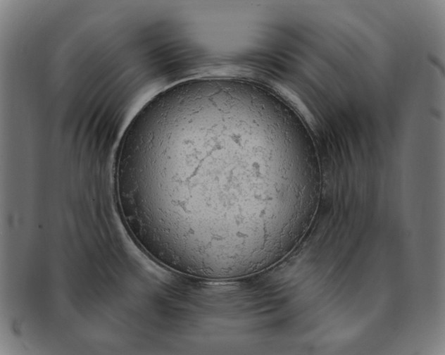 X0000090981483200708241352