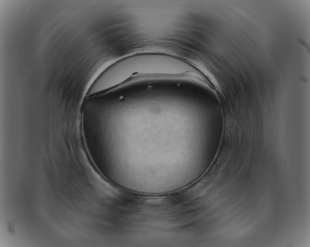 X0000090981484200708241352