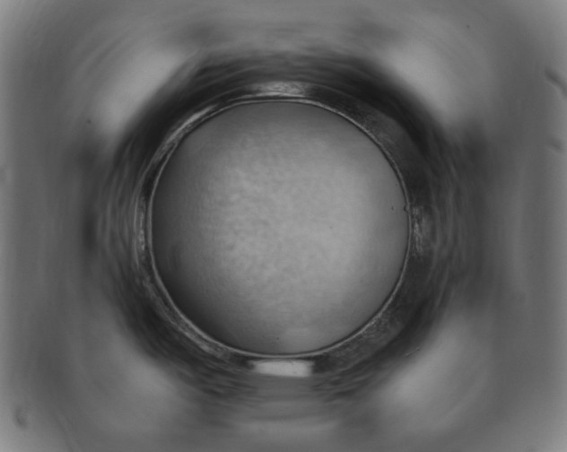 X0000090981487200708241352