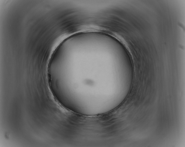 X0000090981488200708241352
