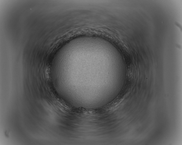 X0000090981490200708241351
