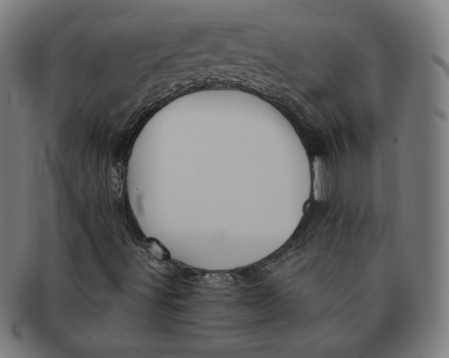 X0000090981491200708241351