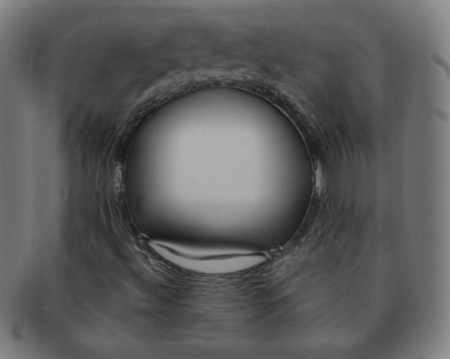 X0000090981492200708241351