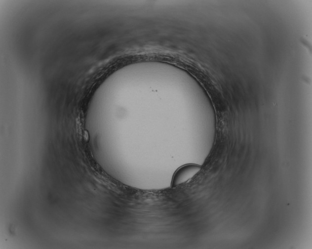 X0000090981493200708241351