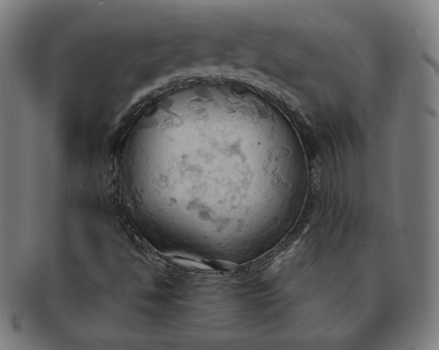 X0000090981494200708241351