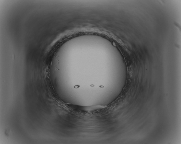 X0000090981495200708241351