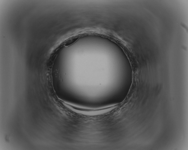 X0000090981496200708241351