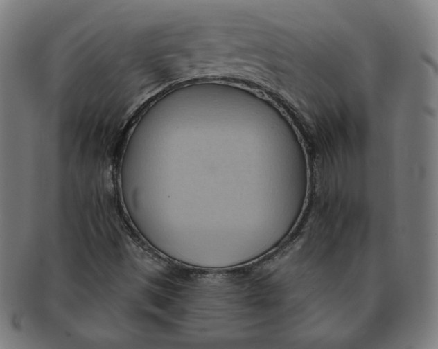 X0000090981497200708241351