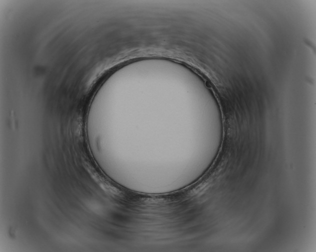X0000090981499200708241351