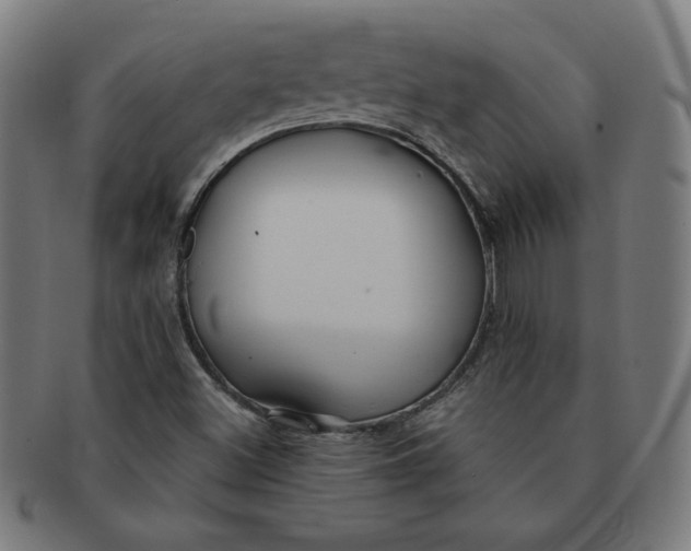 X0000090981500200708241351